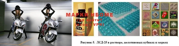 гидра Нея