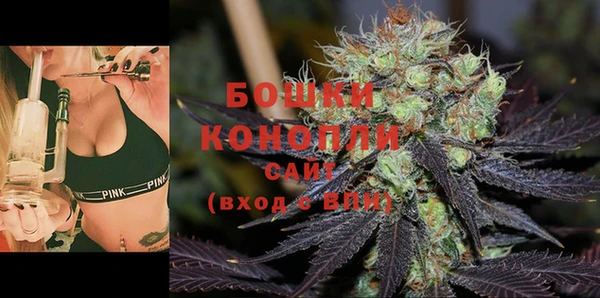 гидра Нея