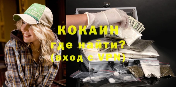 гидра Нея