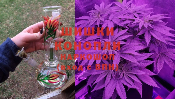 гидра Нея