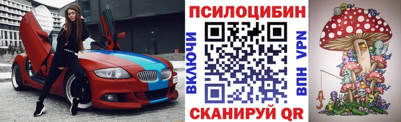 Псилоцибиновые грибы GOLDEN TEACHER  блэк спрут зеркало  Тольятти  закладка 